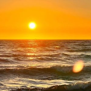 Meet your Posher, Teresa